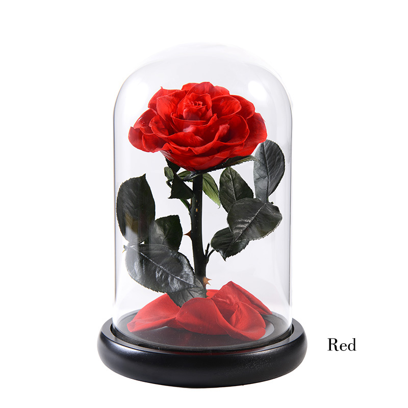 02 red