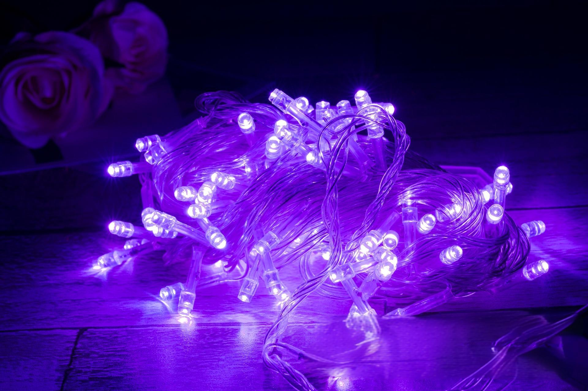Pourpre