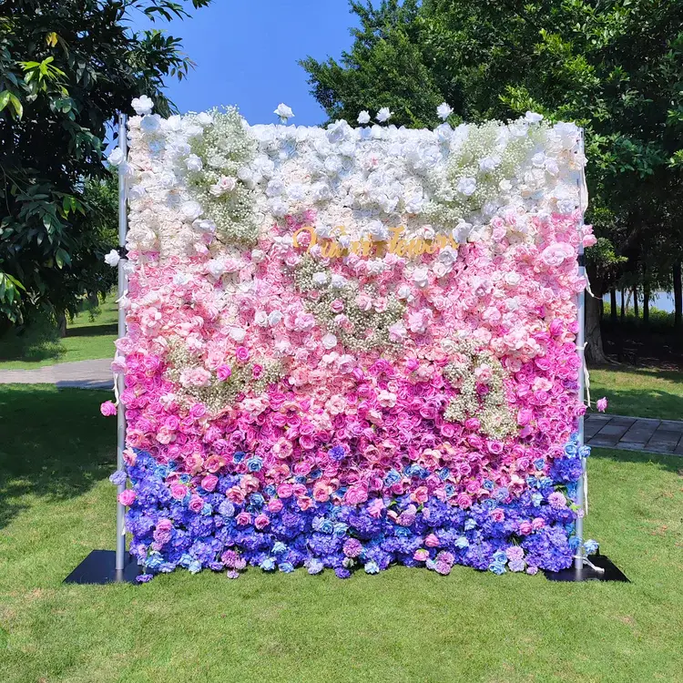 colorful C