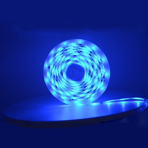 Vendita calda indirizzabile LED Strip lampada a sospensione Chasing Strobe programmazione esterna IC Smart Dream Color 30leds/m 12V IP65 Dimming - Product Image 4