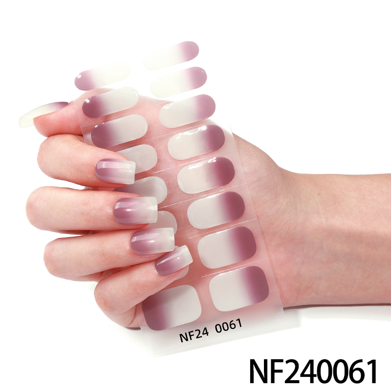 NF240061