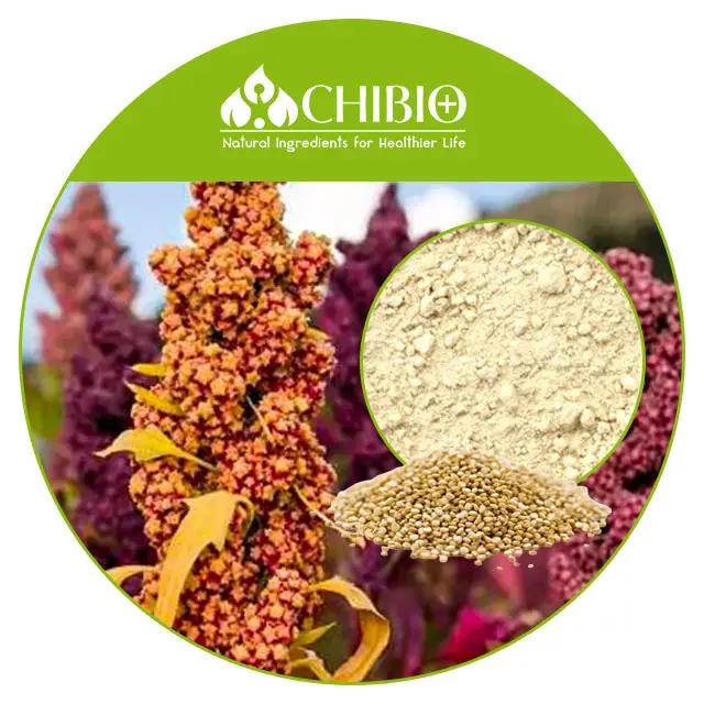 Polvere di proteine di Quinoa a base vegetale di origine vegetale 100% per il frullato proteico delle bevande