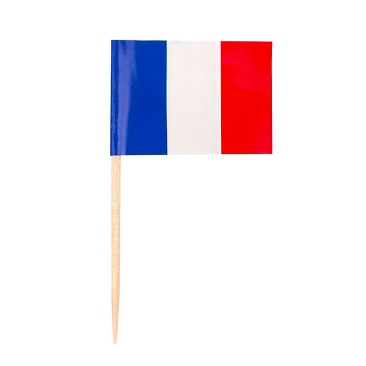 Francia bandiera carta spilla 100 pz/borsa