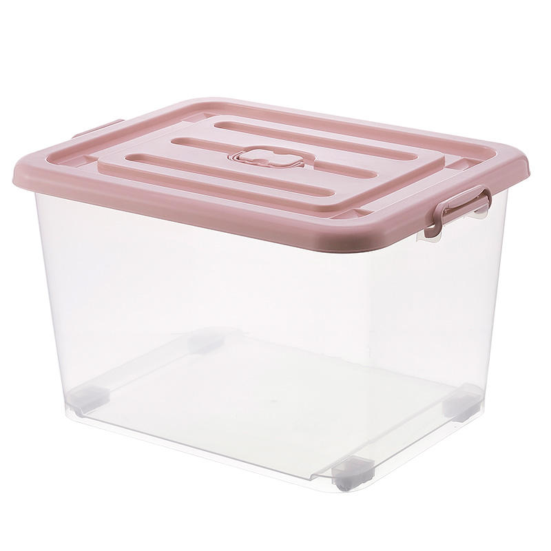 ใส ปกสีแดง