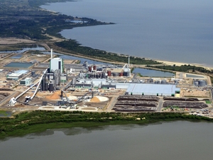 セルロース工場の工業用鉄鋼倉庫構造物-30,000 M2ウルグアイ