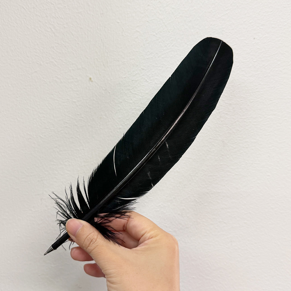 Black feather pen