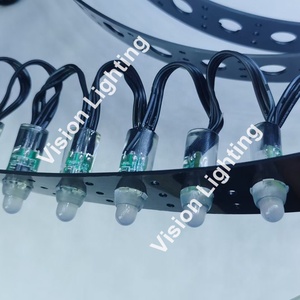 Yüksek parlaklık programlanabilir DC12V WS2811 piksel Garland Led RGB noel ağaç ışıkları - Product Image 5