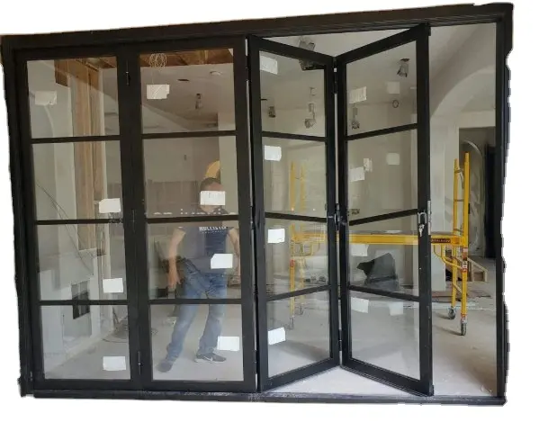 Marco de acero galvanizado exterior plegable de acero negro de puertas de vidrio