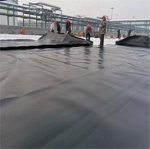 Rivestimento impermeabile anti-uv HDPE Geomembrane Design industriale in stile PE foglio per acquacoltura stagno agricolo - Product Image 4