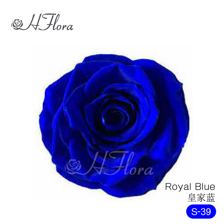 Royal Blue