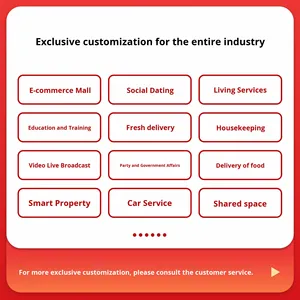 Разработка мини-программ для публичных аккаунтов, создание платежных систем, распределение в торговых центрах, разработка систем возврата средств, дизайн, индивидуальные услуги, продвижение - Product Image 5