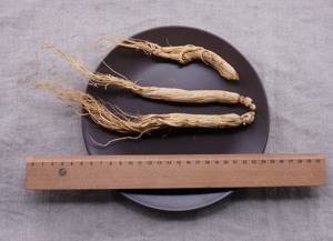 Thuốc Thảo Dược Trung Quốc Chất Lượng Cao Panax Ginseng Root Renshen - Product Image 3