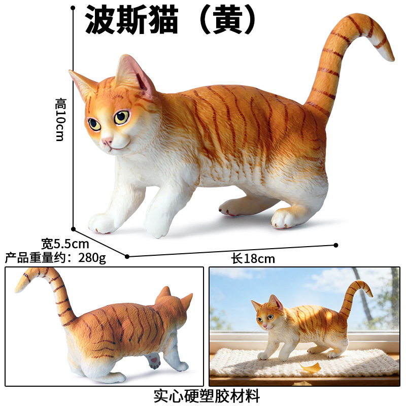M-989Grand chat persan jaune qui marche