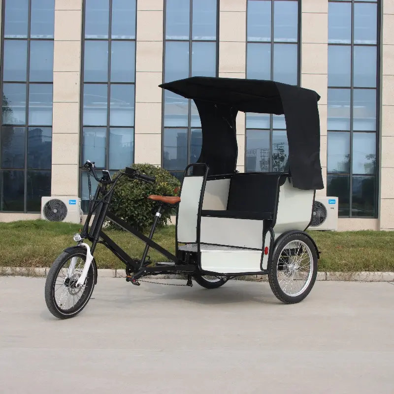 2023 passeggeri Touring triciclo elettrico adulto tre ruote noleggio Cargo Taxi bici Wedding Car