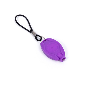 Mini <span class=keywords><strong>LED</strong></span> Xe Đạp Keychain Đèn pin chùm trắng huy hiệu đèn <span class=keywords><strong>Torch</strong></span> Đèn Cắm Trại thiết bị ngoài trời khuyến mại Móc Khóa Carabiners - Product Image 6