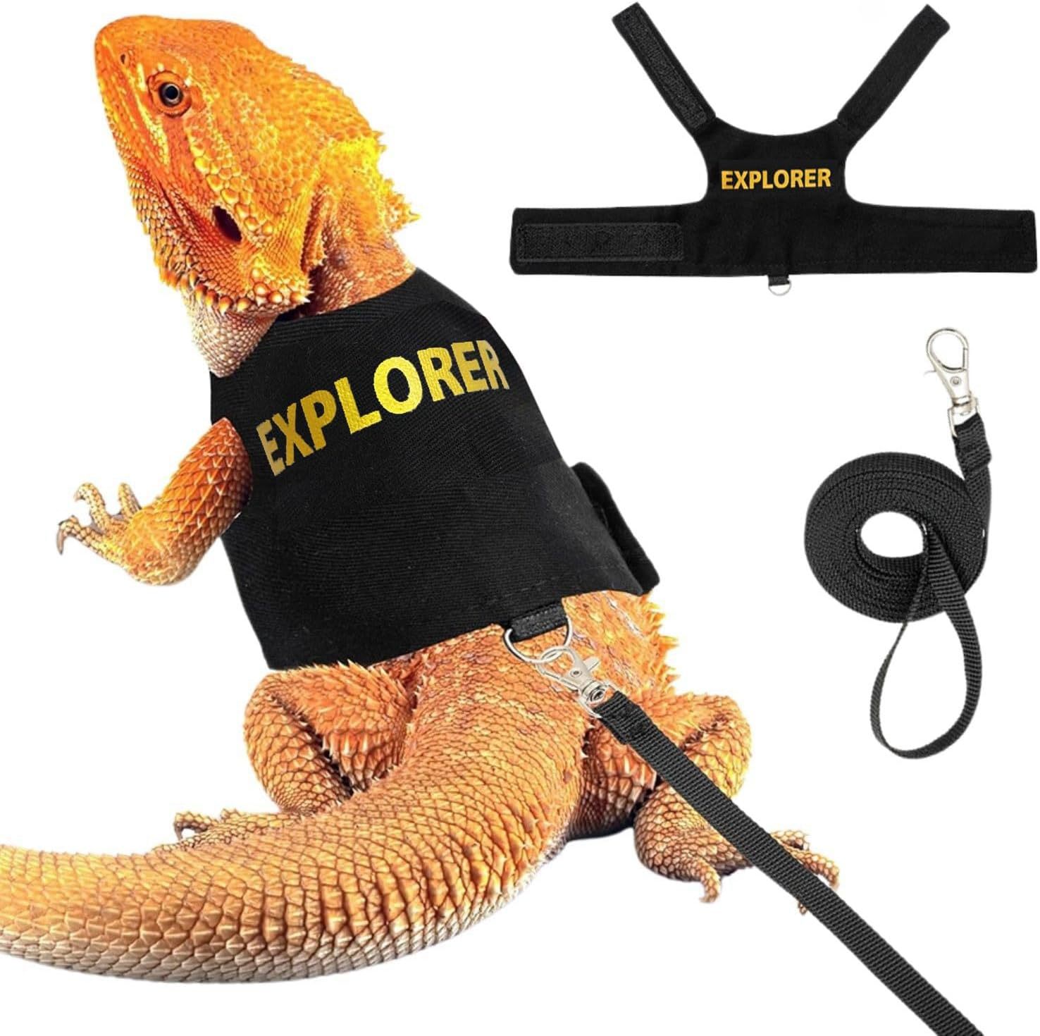 EXP Explorer