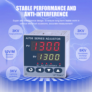 TOKY TC RTD uscita corrente di ingresso grande digitale Display a tubo regolatore di temperatura industriale