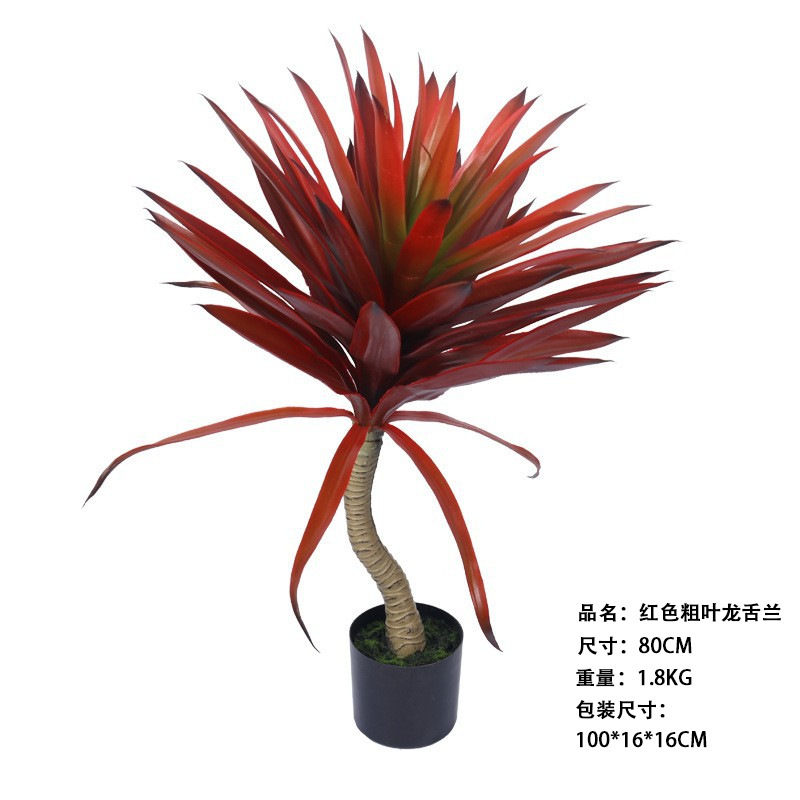 Agave rouge grand 80cm