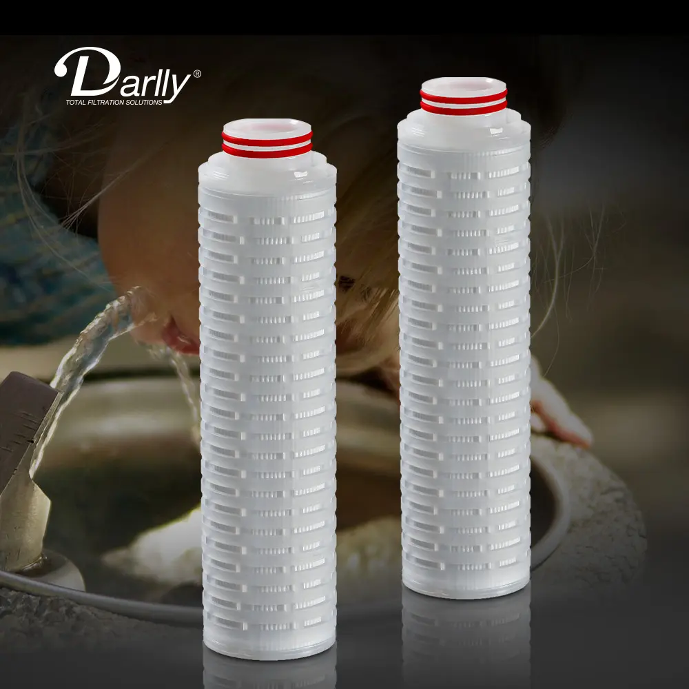 Darlly PES membran filtre kartuş 10 inç 0.22 0.45 mikron endüstriyel pileli su filtreleri şarap filtreleme
