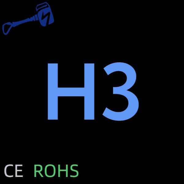 H3