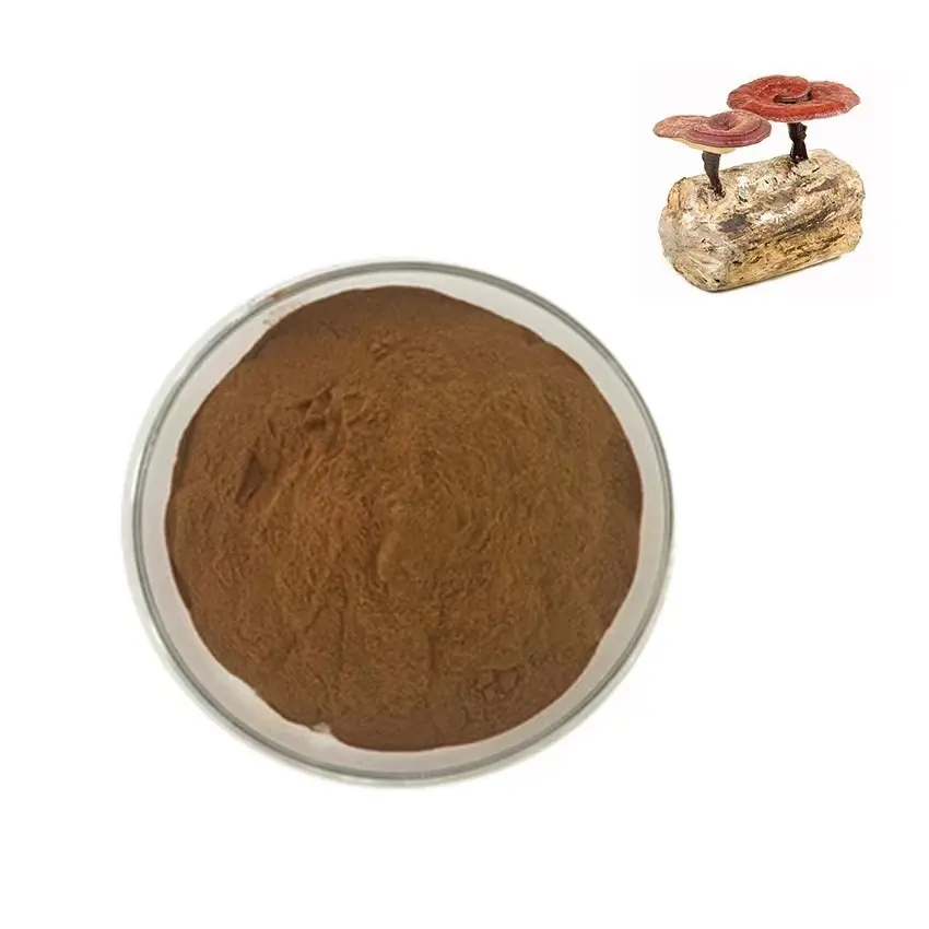 Extracto en polvo de Ganoderma natural, extracto de seta Reishi, gran oferta