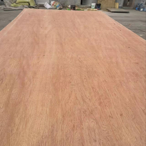 Tahan air kayu lapis lembar 4x8 12mm kayu lapis pinus dengan pelapis Om kayu lapis untuk Mandir - Product Image 2