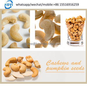 Automatische rohe Cashew nuss verarbeitung maschine Cashew frucht abscheider maschine gesalzene geröstete Cashewnuss maschine mit Schale