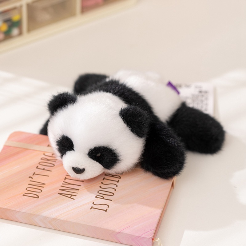 Panda magnético