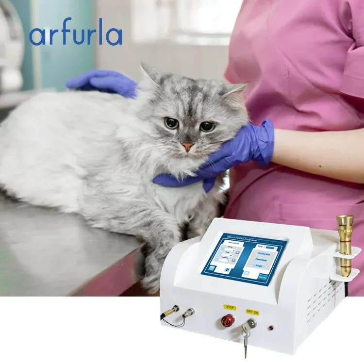 Arfurla gute Qualität Haustier medizinische Ausrüstung Klasse 4 Laser maschine