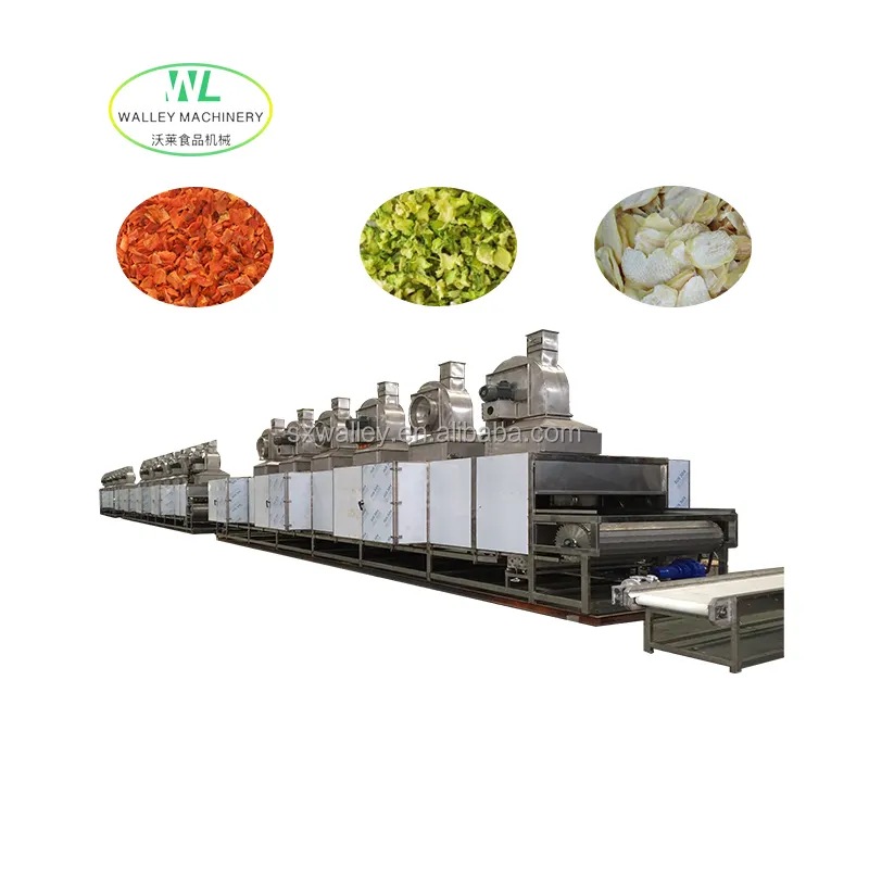 Linha de processamento industrial de cebola, equipamento de secagem de cebola, chive, deshidratação, pimenta preta, máquina de secagem de alho