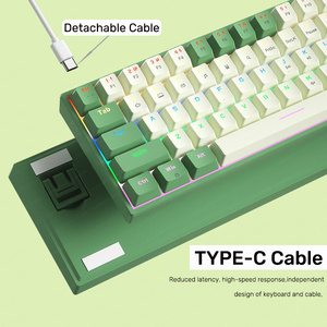 100键Type-c有线机械键盘RGB发光二极管游戏键盘机械红色开关热插拔 - Product Image 3