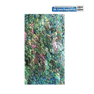 XE-109 New Zealand <strong>Paua</strong> Shell Sheet Abalone Shell Sheets Abalone Shell Paper for Art Crafts - Product Image 1