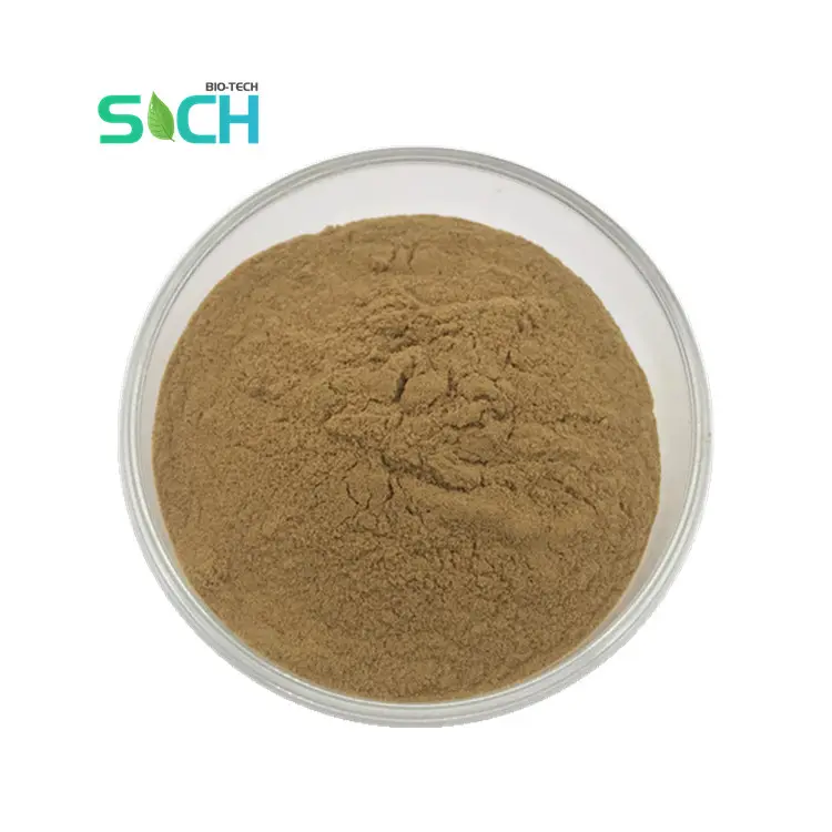 Food Grade Stinging Nettle Leaf Extract Nettle Root Extract Powder Nettle Extract