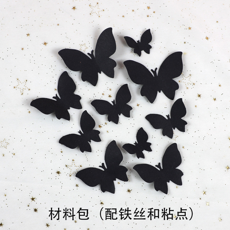 Papillon noir