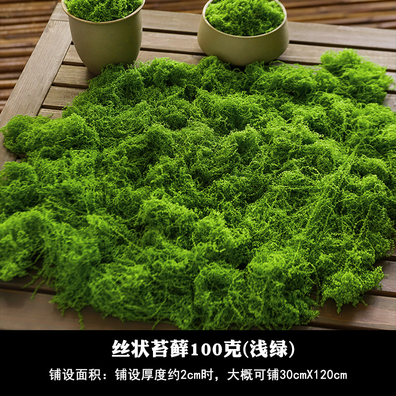 100 grams of filamentous moss (light green)