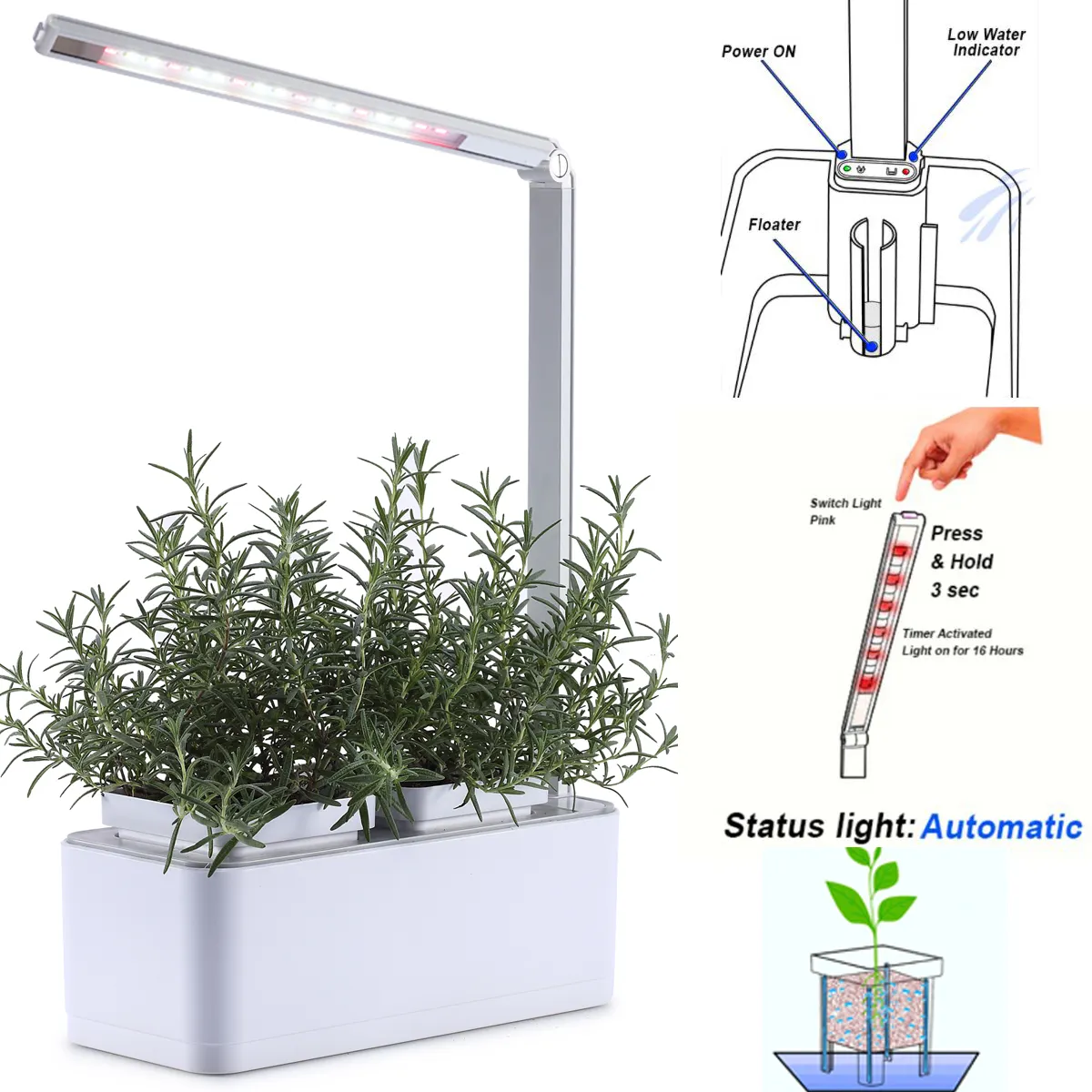 Microgreen hierba vegetal semillas kits de germinación sistema hidropónico DIY educativo auto riego DWC sistema de cultivo hidropónico