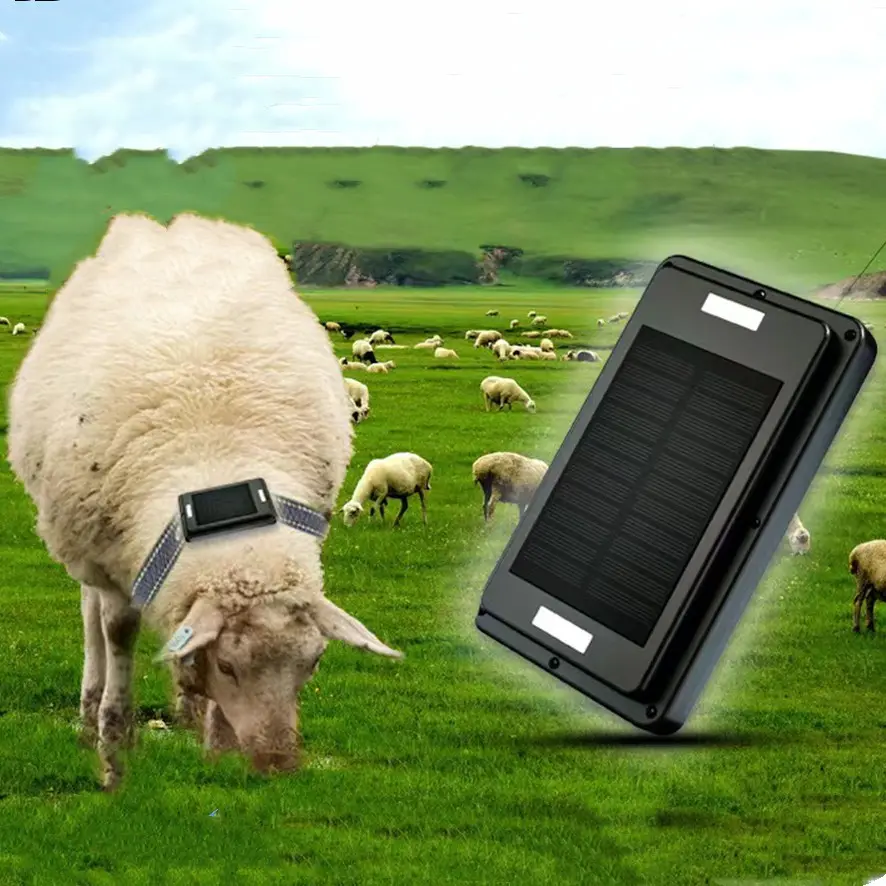 Impermeável 4G Gps Gado Rastreador Anti Perdido Carregamento Magnético Solar Animal GPS Tracker Pet Cow Sheep Farm GPS Locator Para Animal
