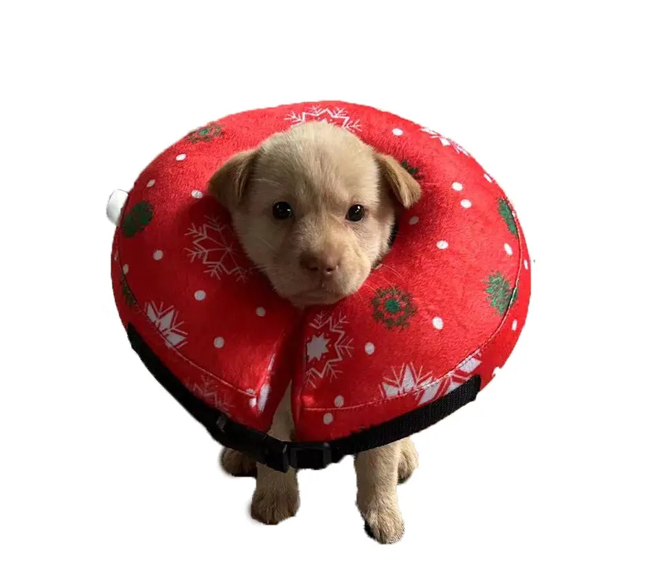 नरम सुरक्षात्मक inflatable कुत्ते गोलाकार कॉलर कोर सुरक्षात्मक शंकु कुत्तों और बिल्लियों के लिए