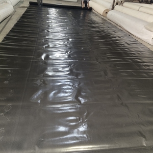 En iyi kalite 0.8mm HDPE geomembran gölet Liner yüzme havuzu rezervuar için balık çiftliği su geçirmez malzeme külot gömlekleri - Product Image 2