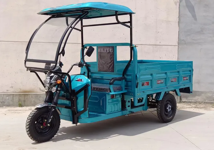 Factory direct sales 2024 new cheap 3 wheel electric cargo motorcycle tricycle for adult wholesale Open Electric Tricycles