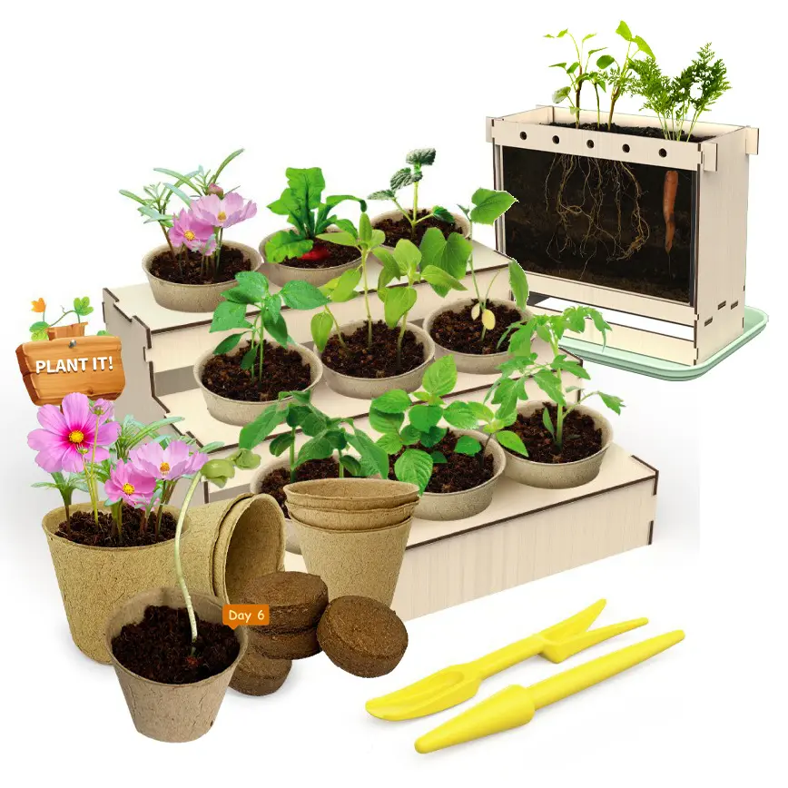Mini juego educativo de cultivo de plantas para niños, Kit de ciencia para cultivo de semillas, visor de raíces, bricolaje