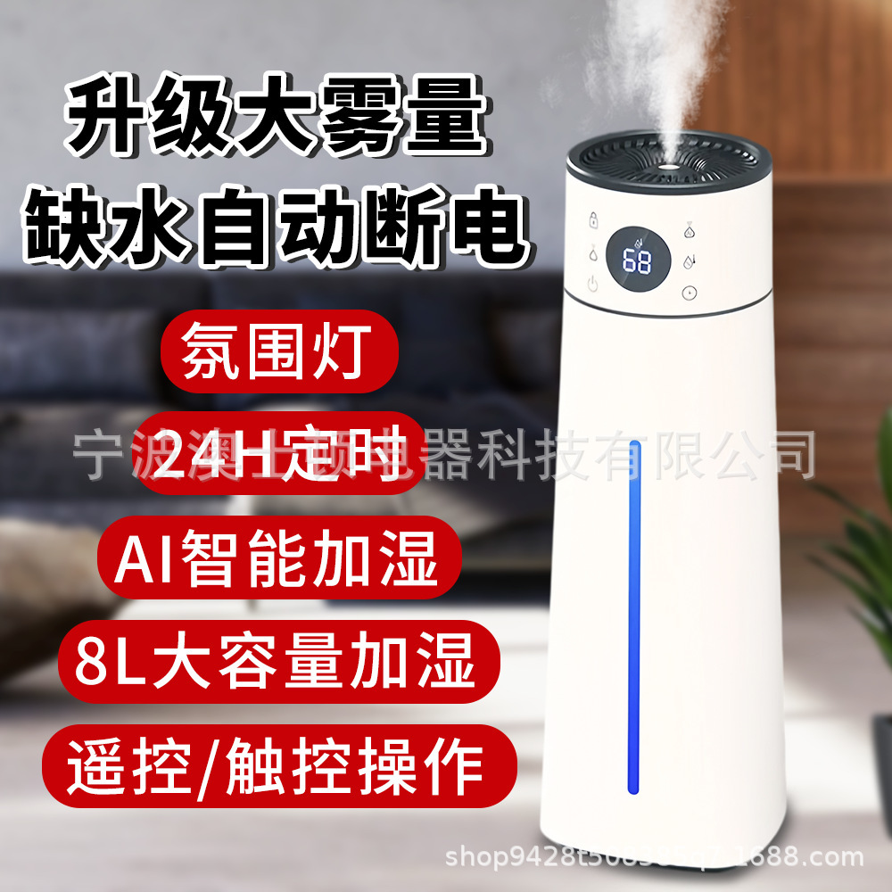 White remote control model