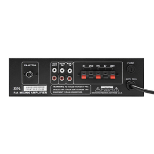 Amplificador de potencia de sistema PA al por mayor de fábrica Thinuna II, 50W, 5EQ, Mini amplificador de mezcla con USB, reproductor de MP3, Turner FM - Product Image 3