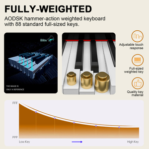 Factory Wholesale Musical Instruments Factory Direct High-End 88 Key Adult Beginners Electronic Weighting Piano - Product Image 6