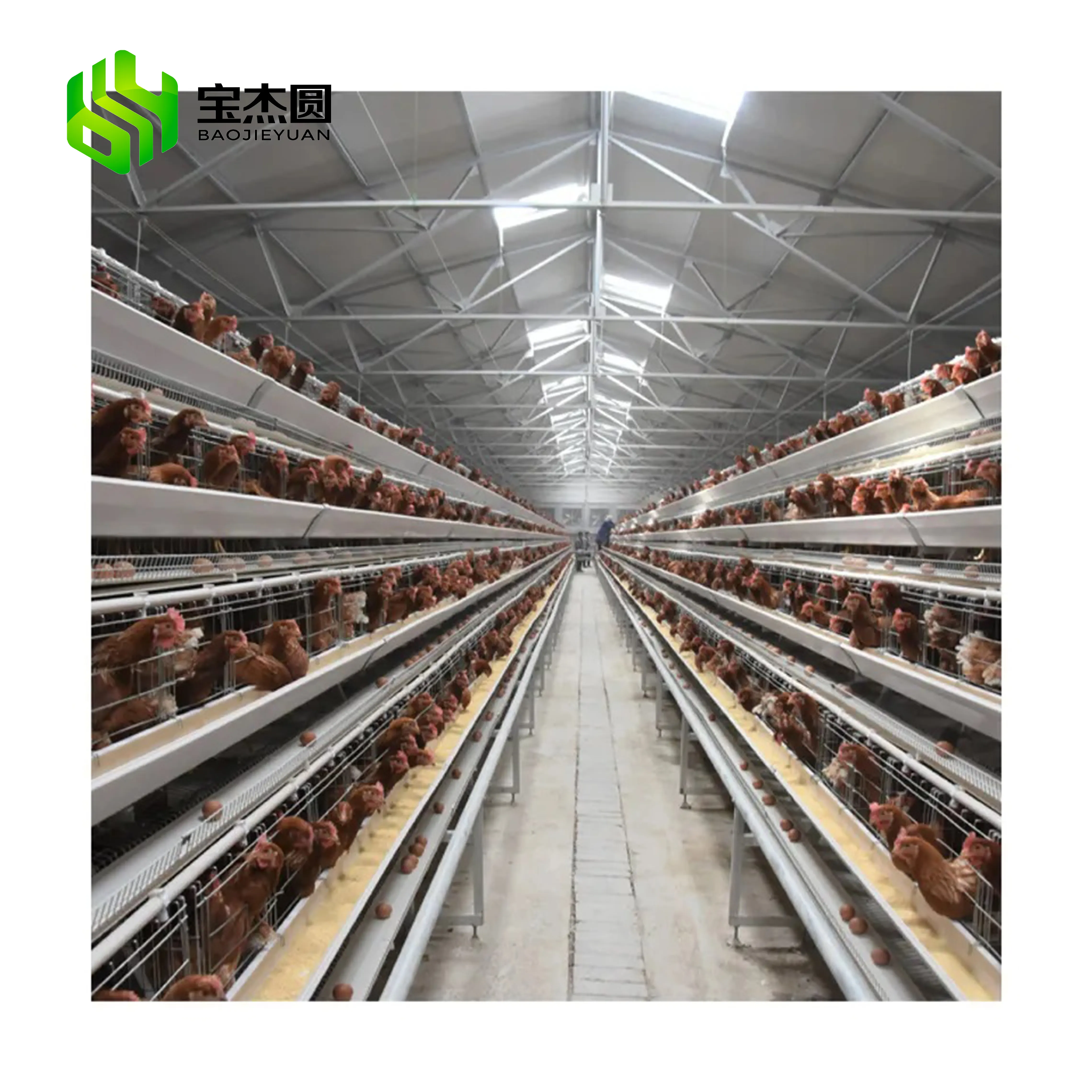 Jaula automática para poner huevos de animales, jaula de pollo para granja de aves, 10000 gallinas, precio de fábrica