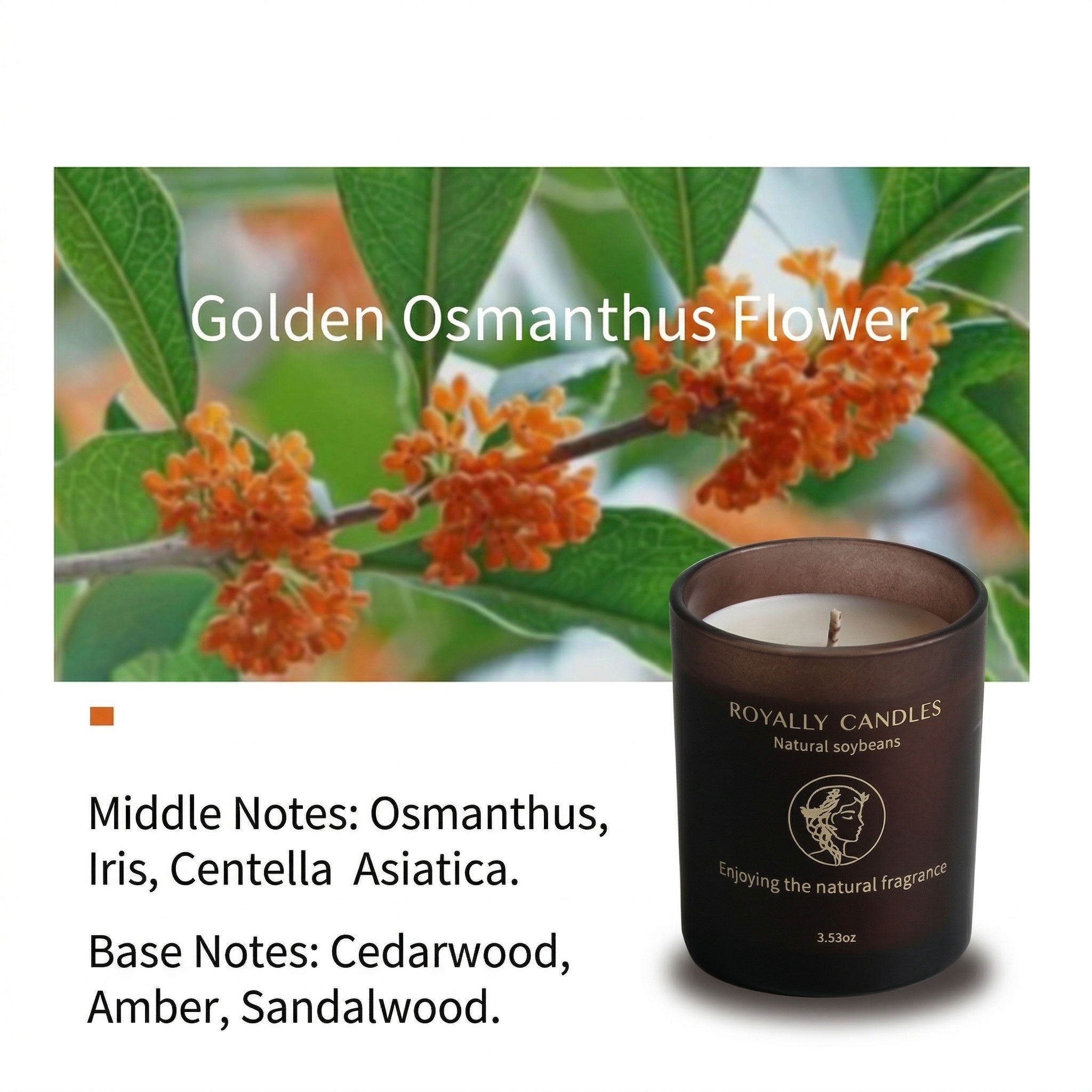 Golden osmanthus 100g