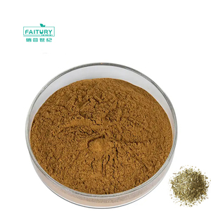 Halal Koosjere Heilige Bartholomew 'S Thee-Extract Ilex Paraguariensis-Extract 10:1 Cafeïne 4% Yerba Mate-Extractpoeder - Product Image 2
