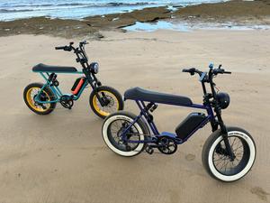 Mario Ebike 1500w Fast <strong>Speed</strong> Off-road Fat Tire Electric Fat Bike with Amazing Color