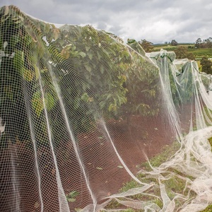 Aus gezeichnete Qualität Anti Bird Net Draht geflecht für Farm Anti Bird Netze Netz für den Garten