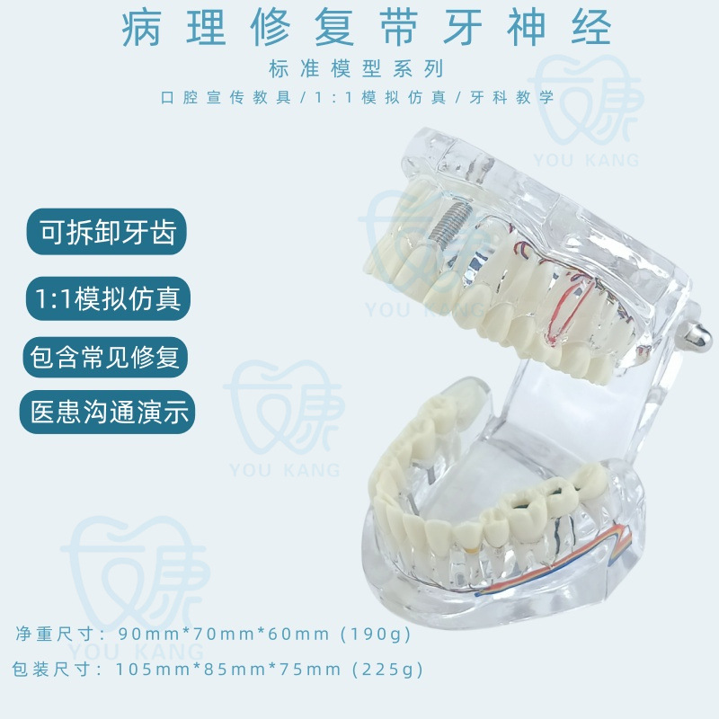 Pathological repair with dental nerve